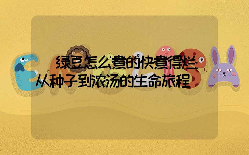 绿豆怎么煮的快煮得烂:从种子到浓汤的生命旅程